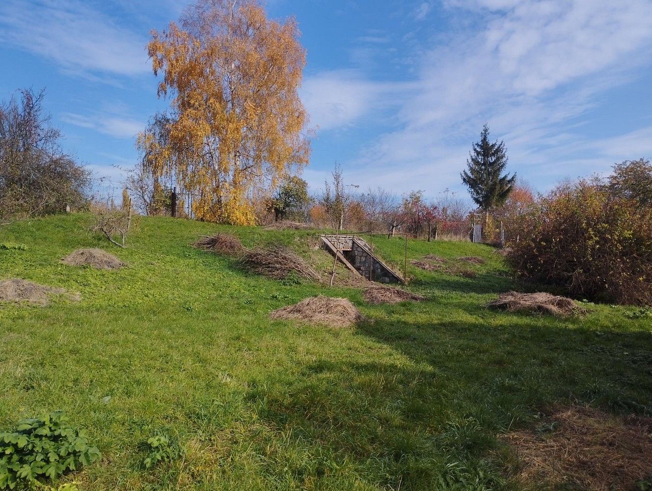 Pozemek pro bydlení · Holubice, okres Vyškov, Jihomoravský kraj - 4