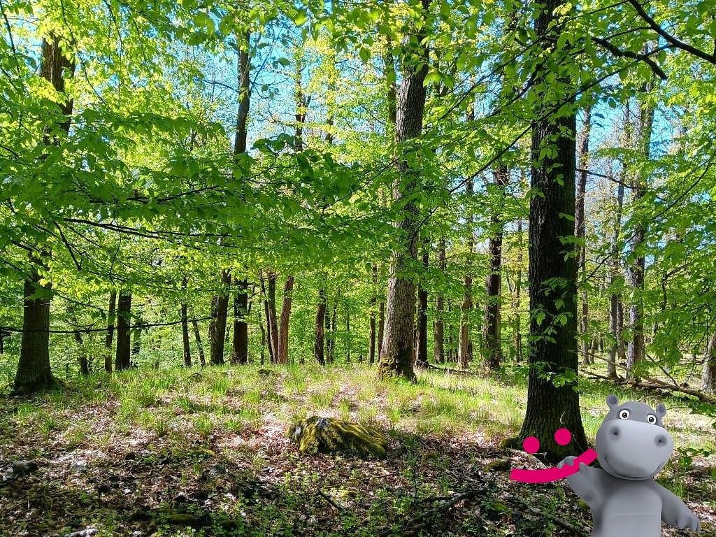 Lesy, Kelníky, okres Zlín, Zlínský kraj