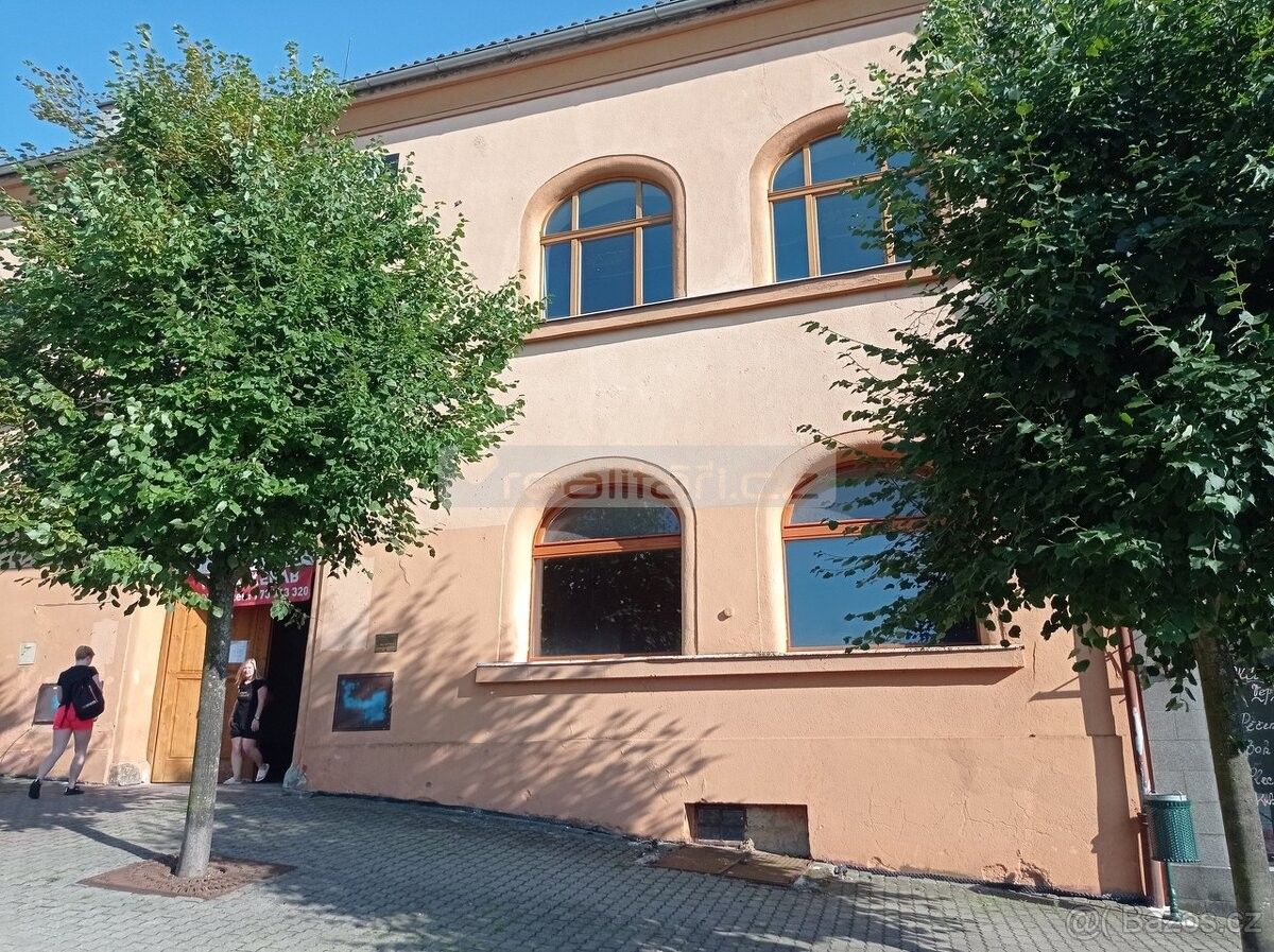 Obchodní prostory, Nepomuk, 335 01 - 1