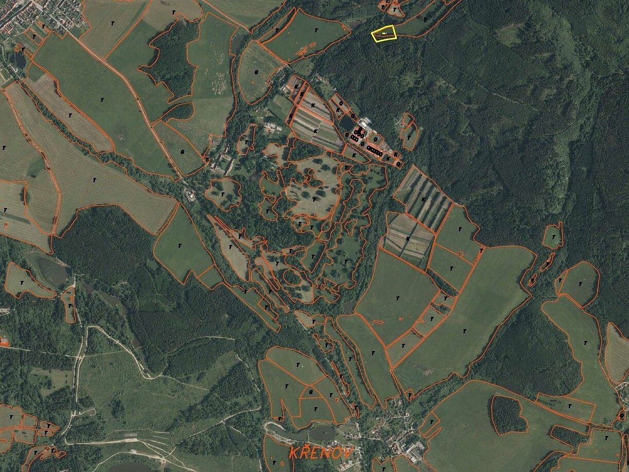 Prodej louka - Chvalšiny - 5