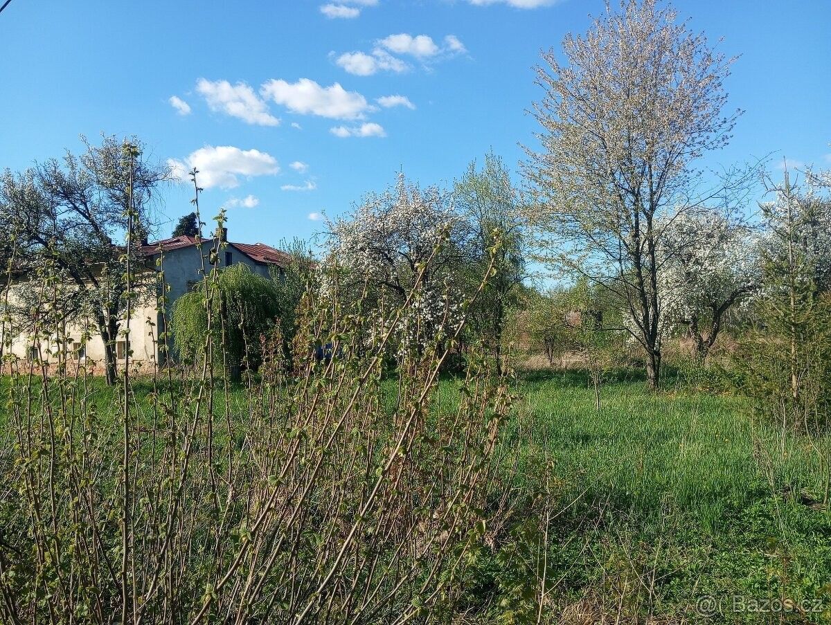 Rodinný dům · Osoblaha, 793 99 - 3