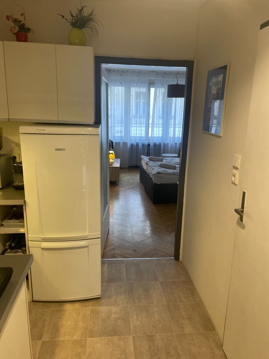 Pronájem byt 1+kk - Dlouhá, Praha - Staré Město, 1 m² - 5