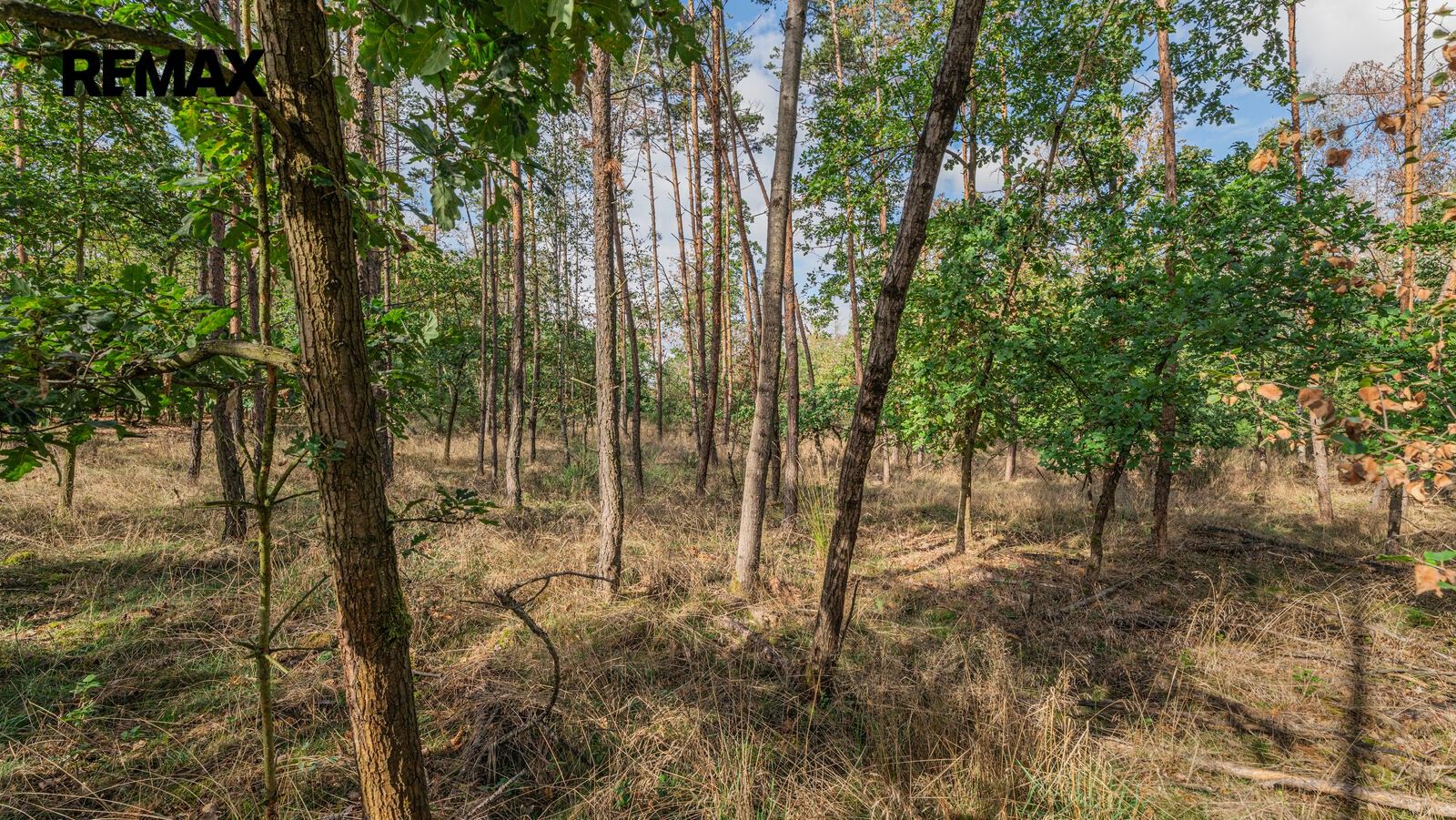 Les · 38 473 m² · Mokrovraty - 4