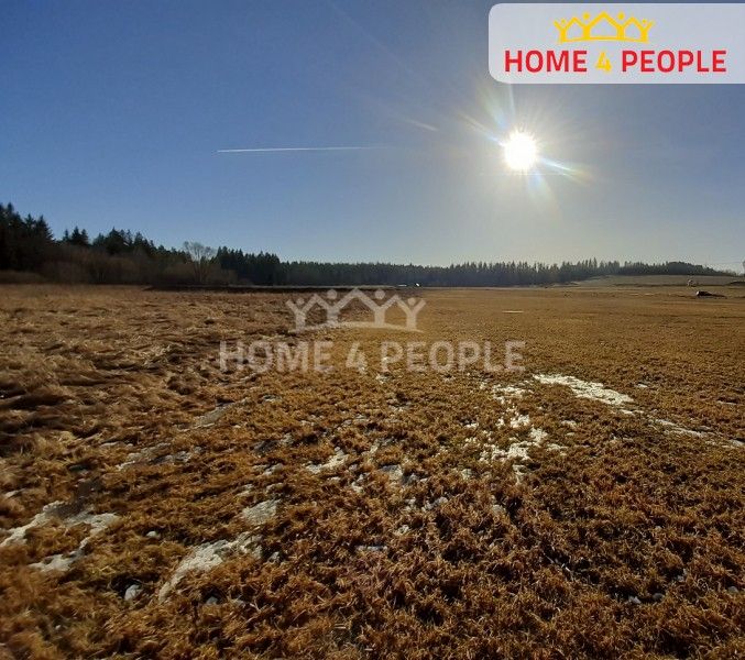 Louky, Černá v Pošumaví, 11 835 m²