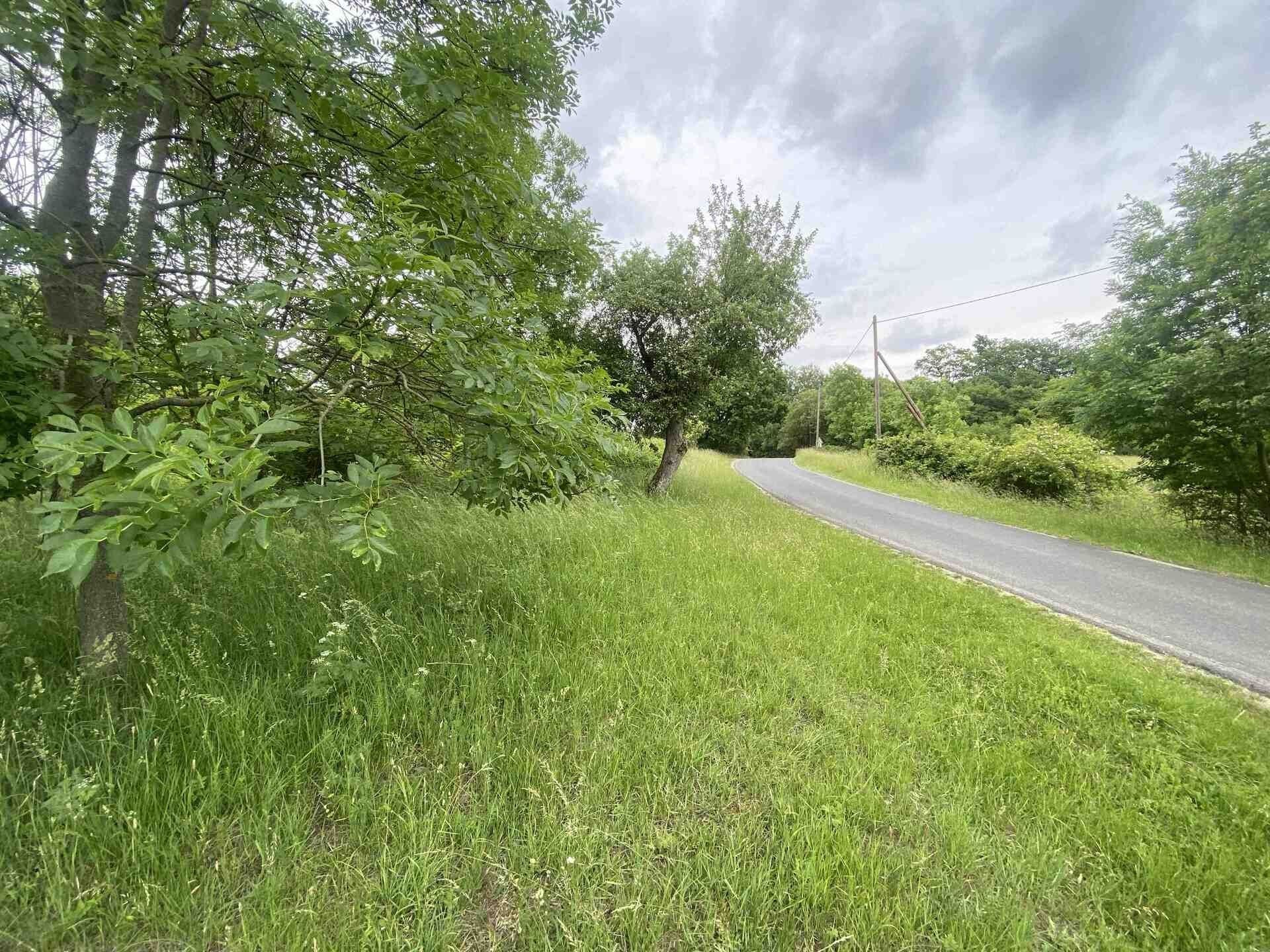 Zemědělské pozemky, Třebívlice Skalice, 12 772 m² - 2