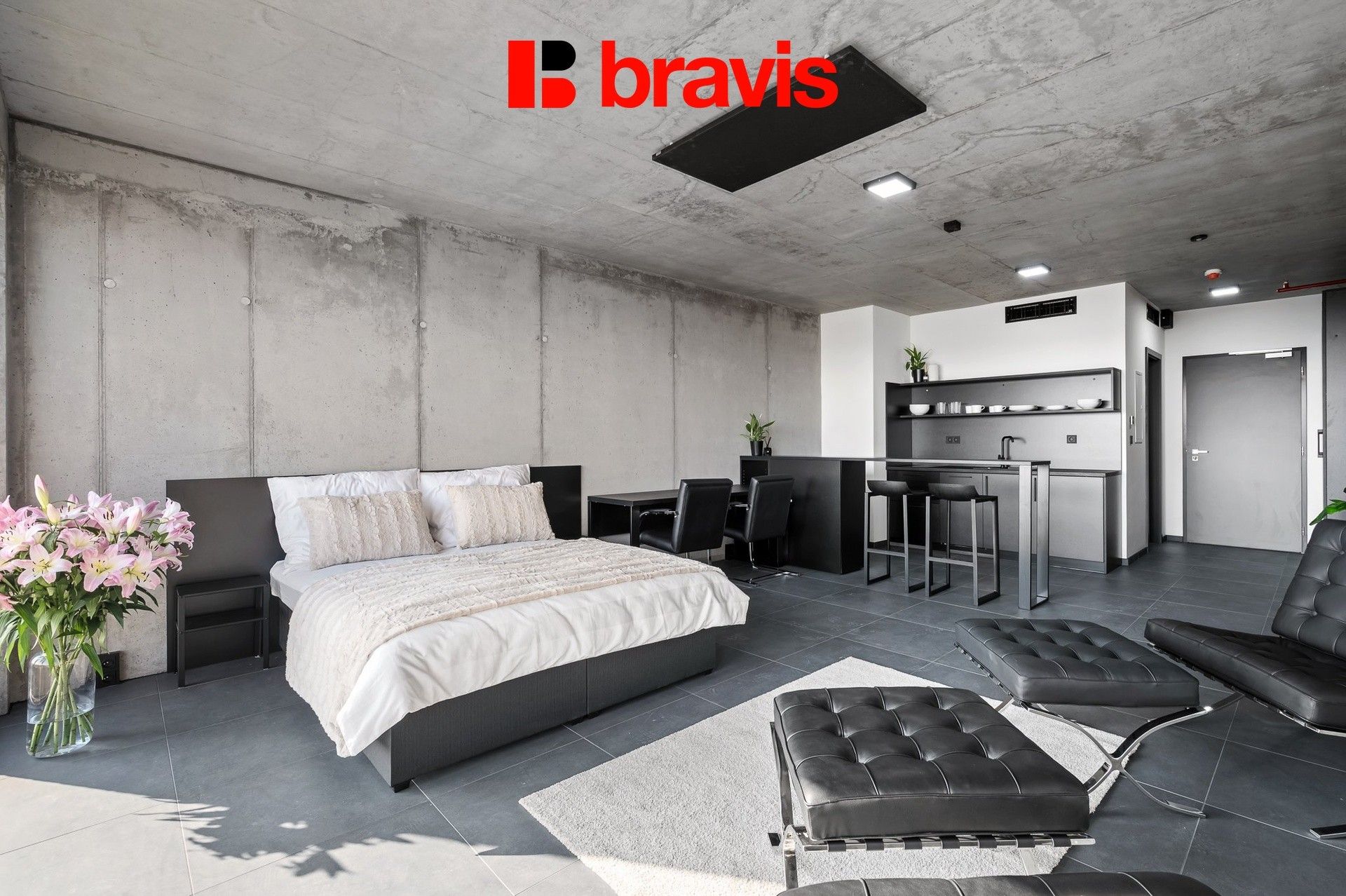 1+kk, Královopolská 3052, Brno Žabovřesky, 35 m² - 2