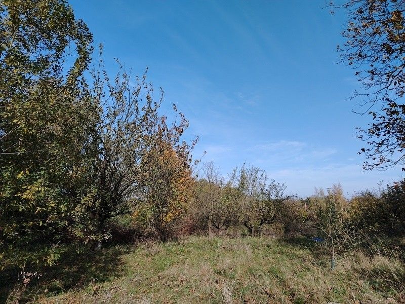 Prodej pozemek pro bydlení - Loukov u Mnichova Hradiště, 294 11