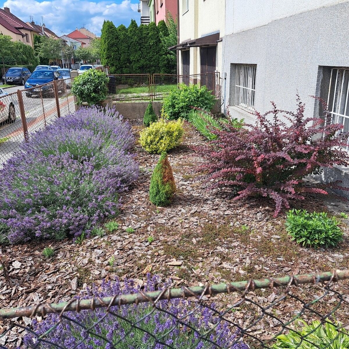 Prodej byt - Přerov, 750 02