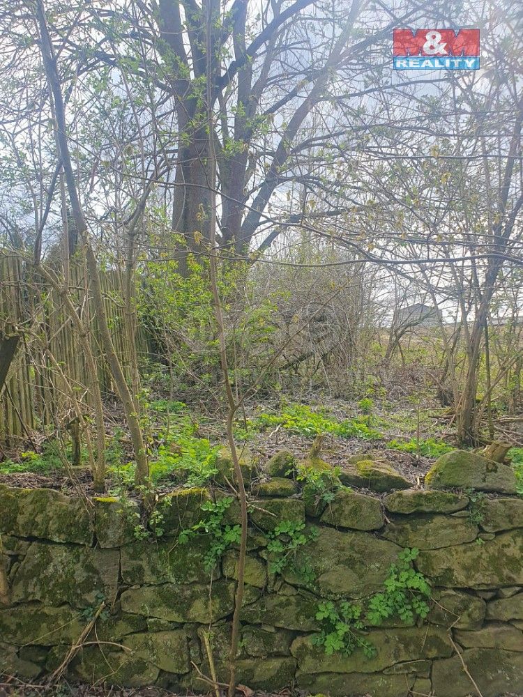 Zemědělský pozemek · Kozlovice, okres Plzeň-jih, Plzeňský kraj - 4