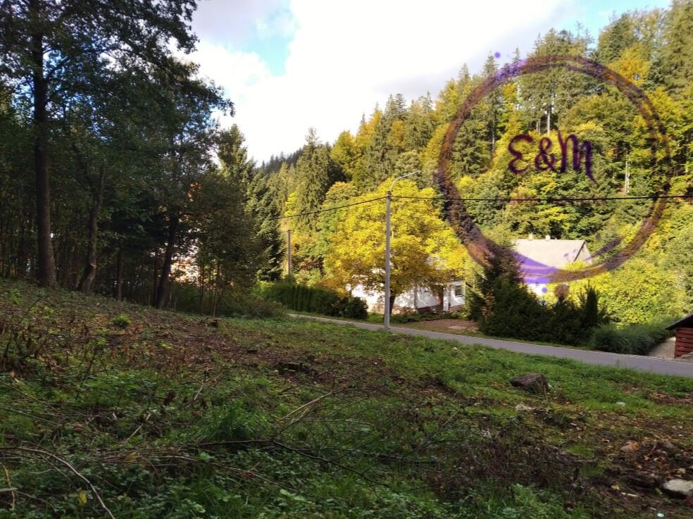 Pozemek pro bydlení · 1 374 m² · Červená Voda Moravský Karlov - 3