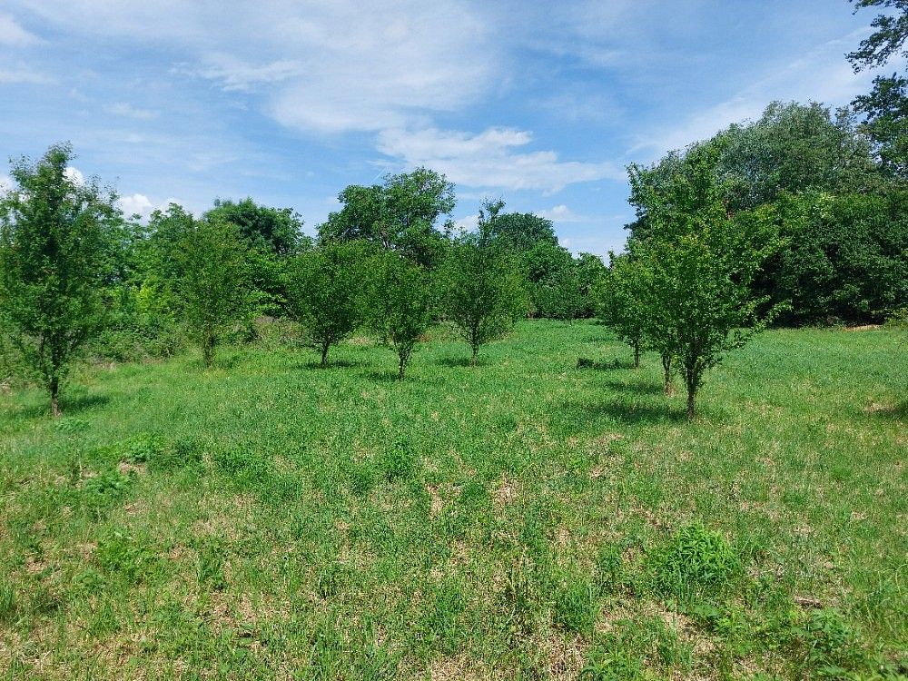 Zahrady, Rajhrad, okres Brno-venkov - 2