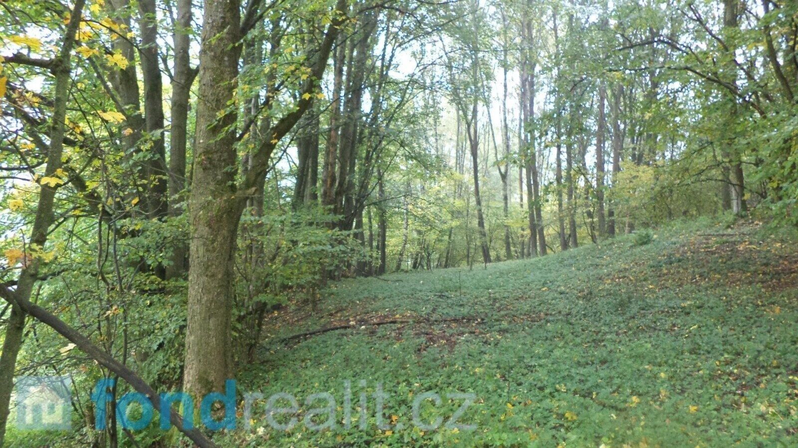 Prodej zemědělský pozemek - Přimda, 35 m²