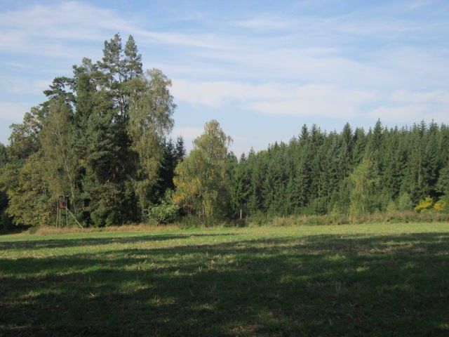 Lesy, Tříklasovice, Psárov, 70 320 m²