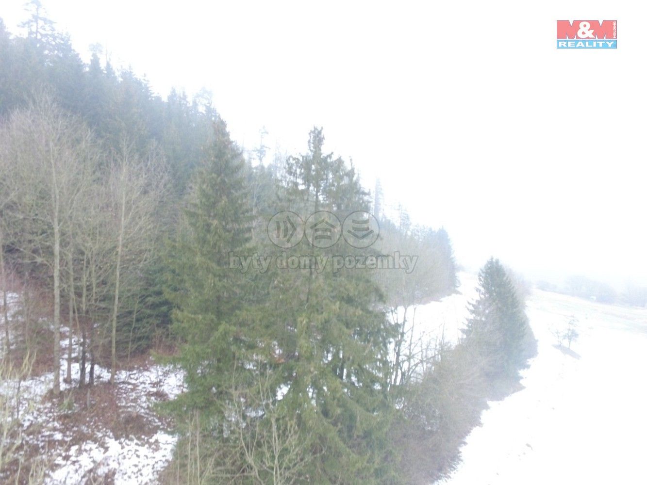 Les · Řetová, okres Ústí nad Orlicí, Pardubický kraj - 3