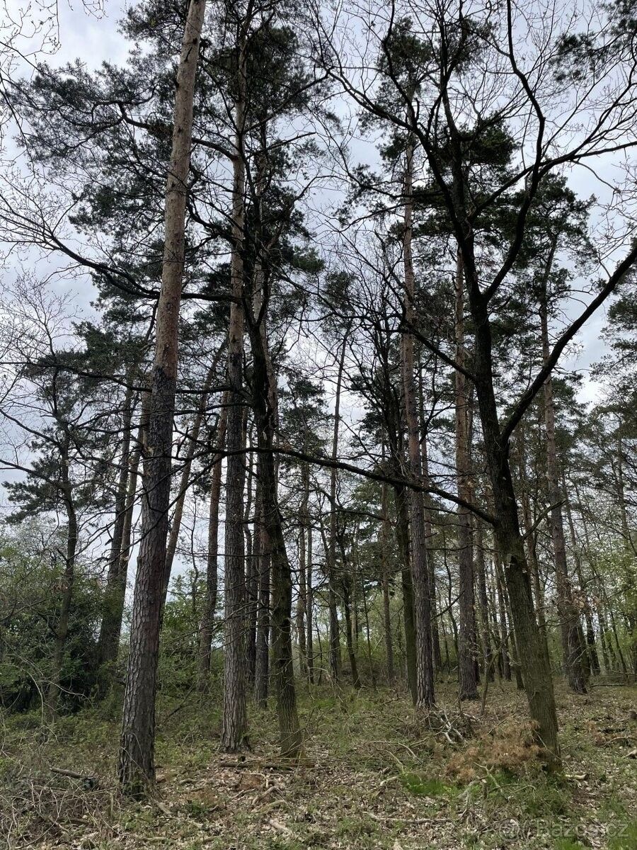 Pozemky pro bydlení, Koloveč, 345 43