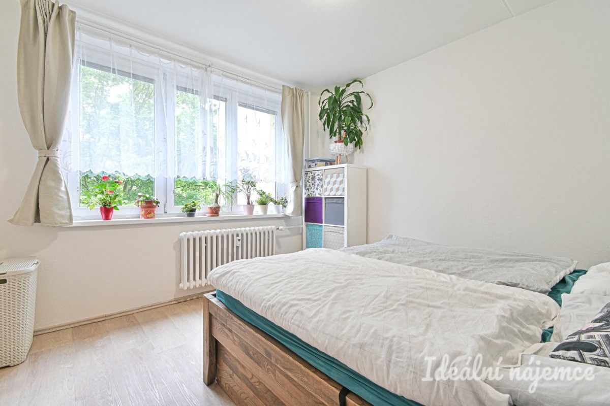 3+1, Molákova, Brno, 73 m² - 2