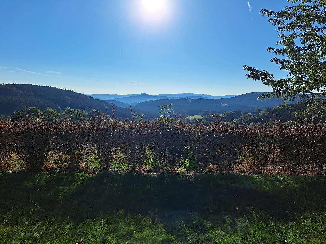Chata · Hlavňovice - Zámyšl, Plzeňský kraj - 3