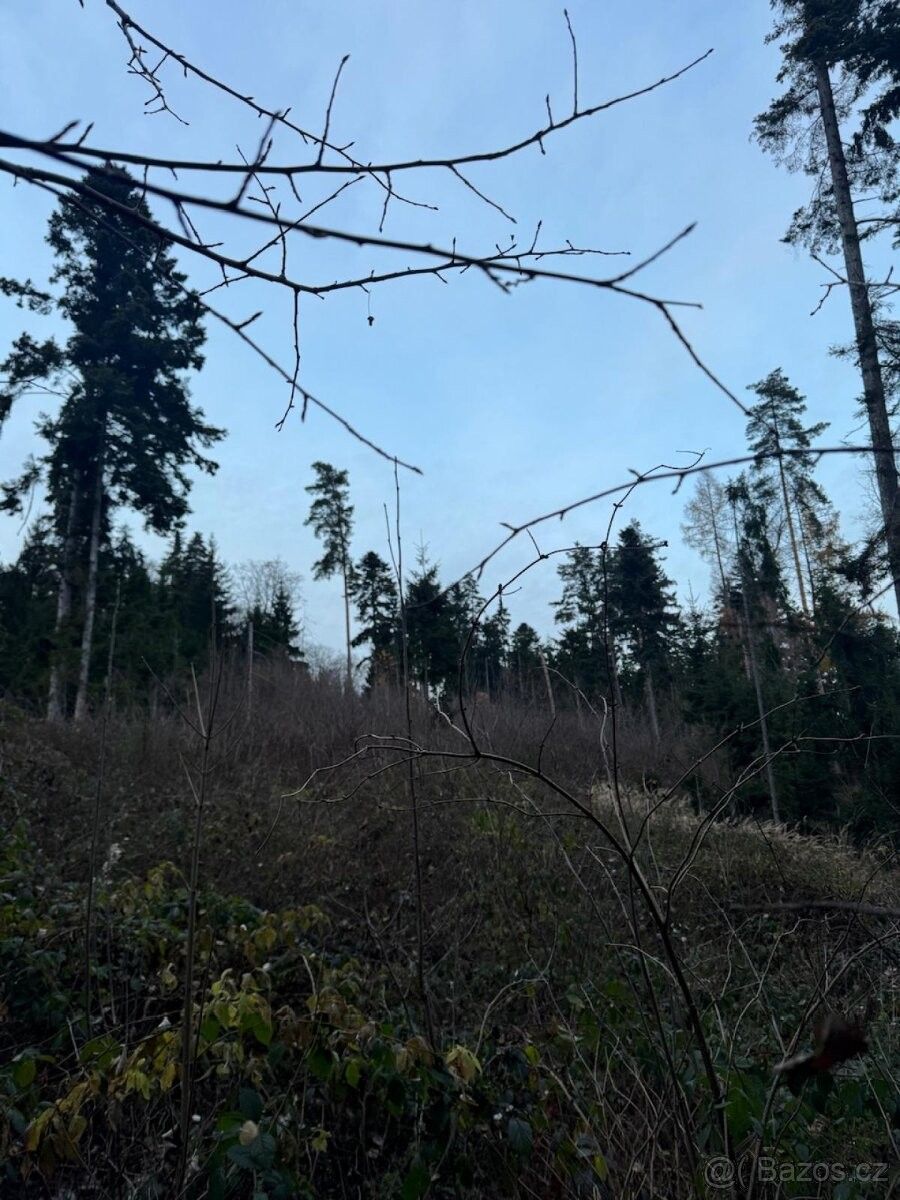 Prodej pozemek pro bydlení - Čkyně, 384 81