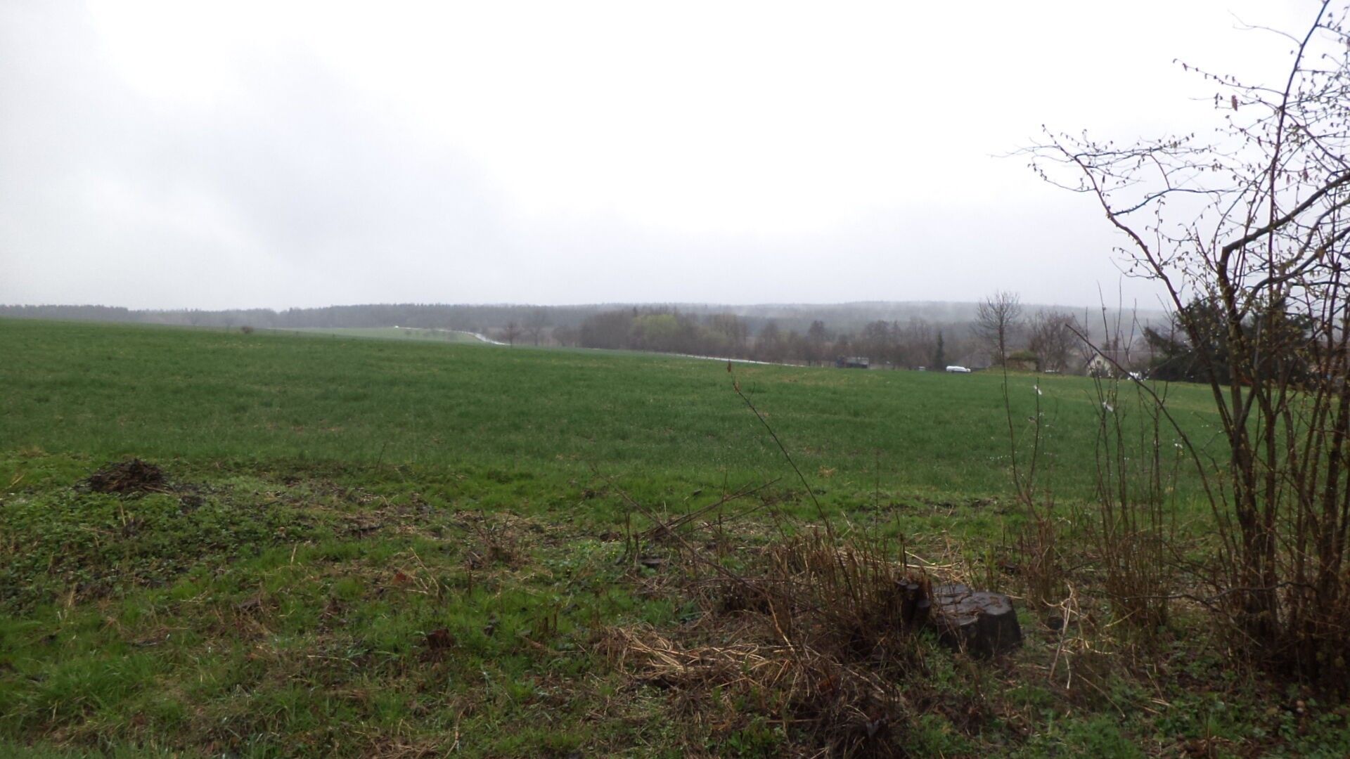 Zemědělské pozemky, Radošice, Mladý Smolivec, 15 m²