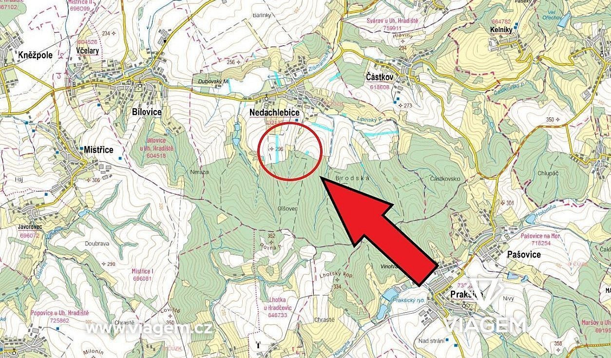 Zemědělský pozemek · Nedachlebice, okres Uherské Hradiště - 4