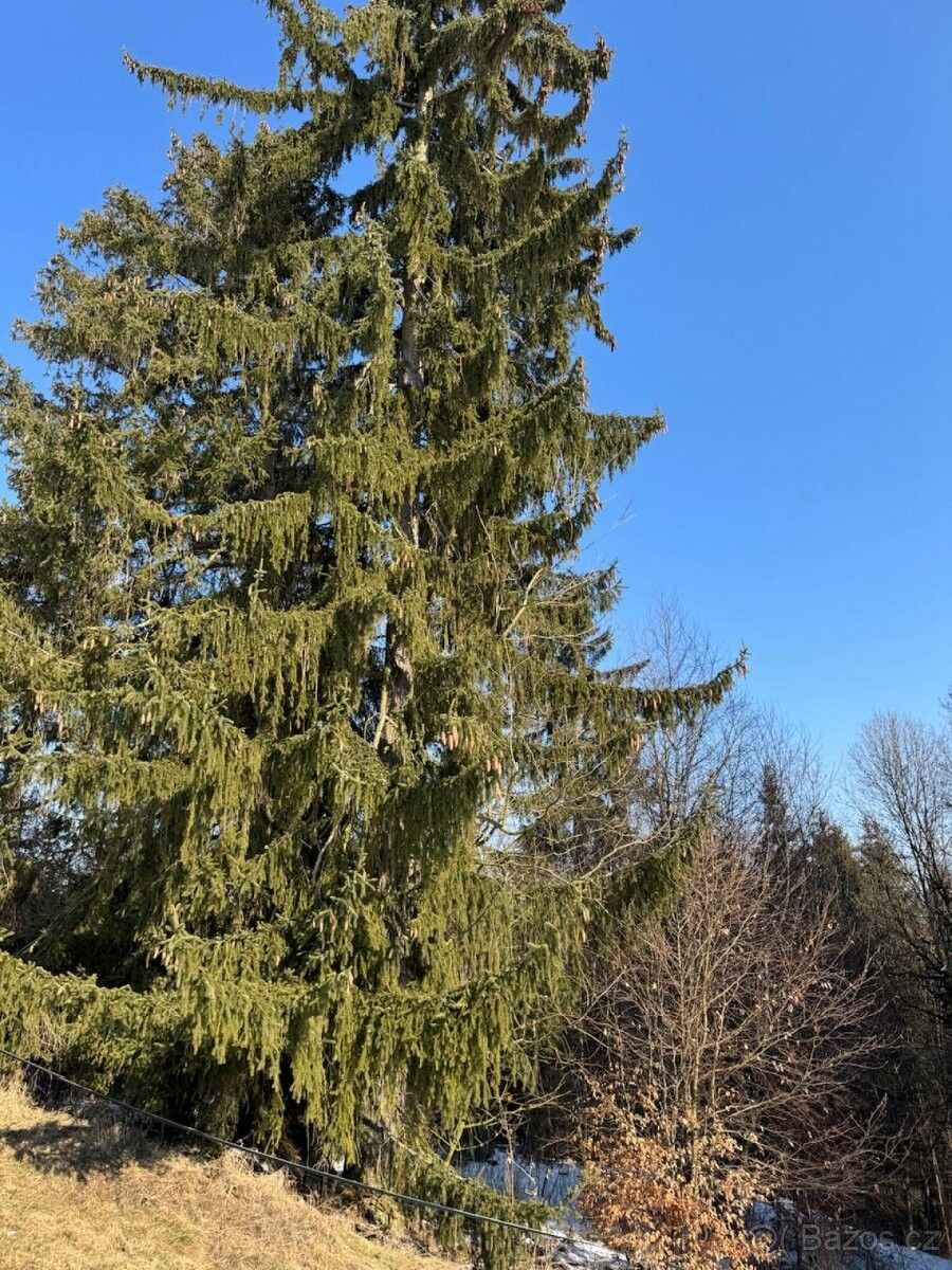 Prodej pozemek pro bydlení - Zábřeh, 789 01