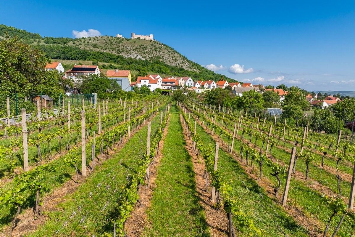 Pozemky pro bydlení, Mikulov na Moravě, 692 01 - 2