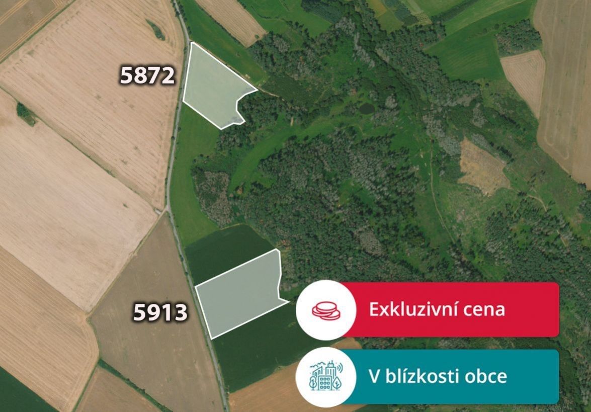 Zemědělské pozemky, Holubí Zhoř, Velká Bíteš, 26 341 m²