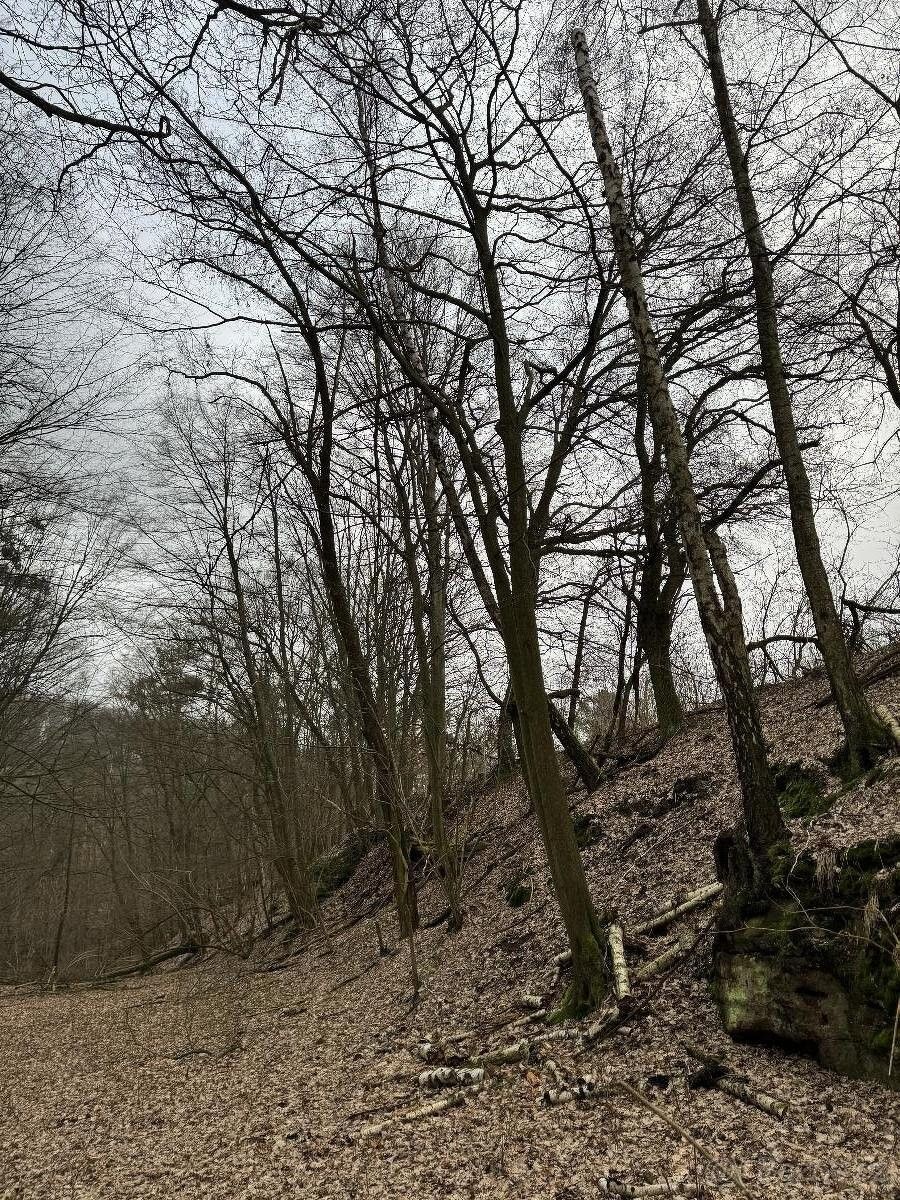 Prodej pozemek pro bydlení - Doksy, 472 01