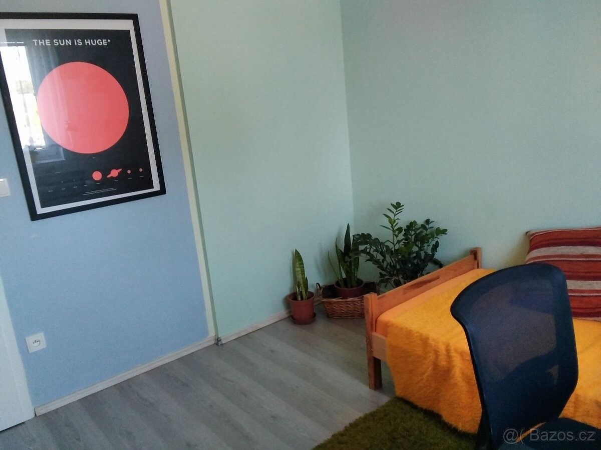 Pronájem byt - Třebechovice pod Orebem, 503 46