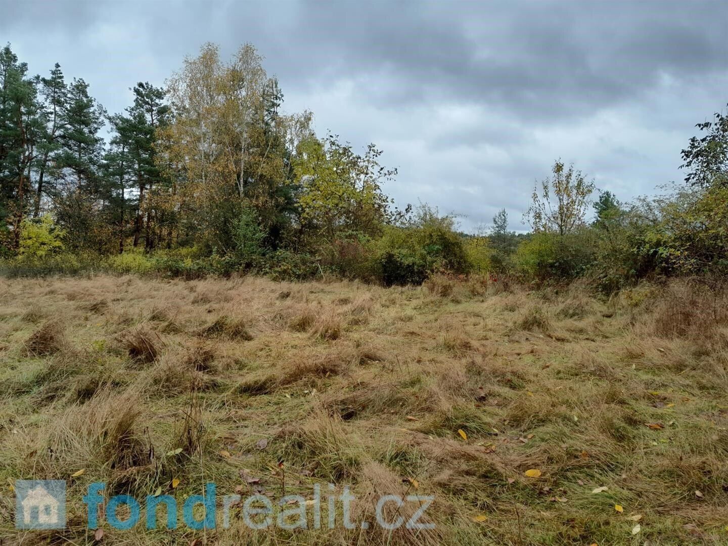 Prodej pozemek - Bušanovice, 4 183 m² - 5