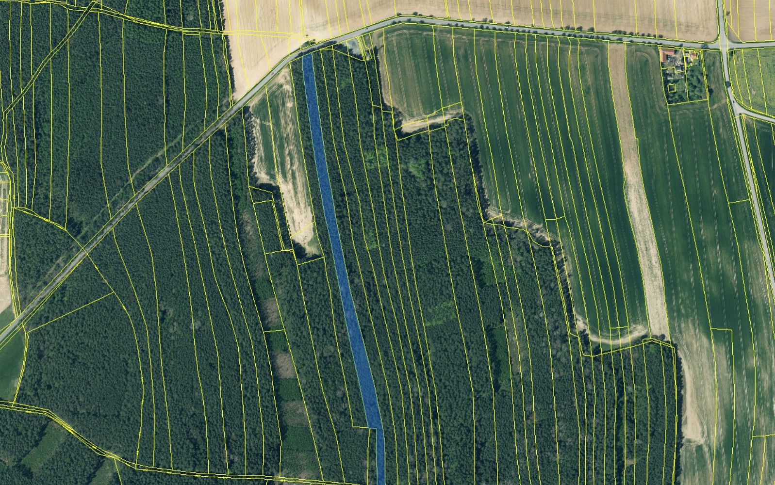 Lesy, Dolany - Nýřany, okres Plzeň-sever, Plzeňský kraj - 2