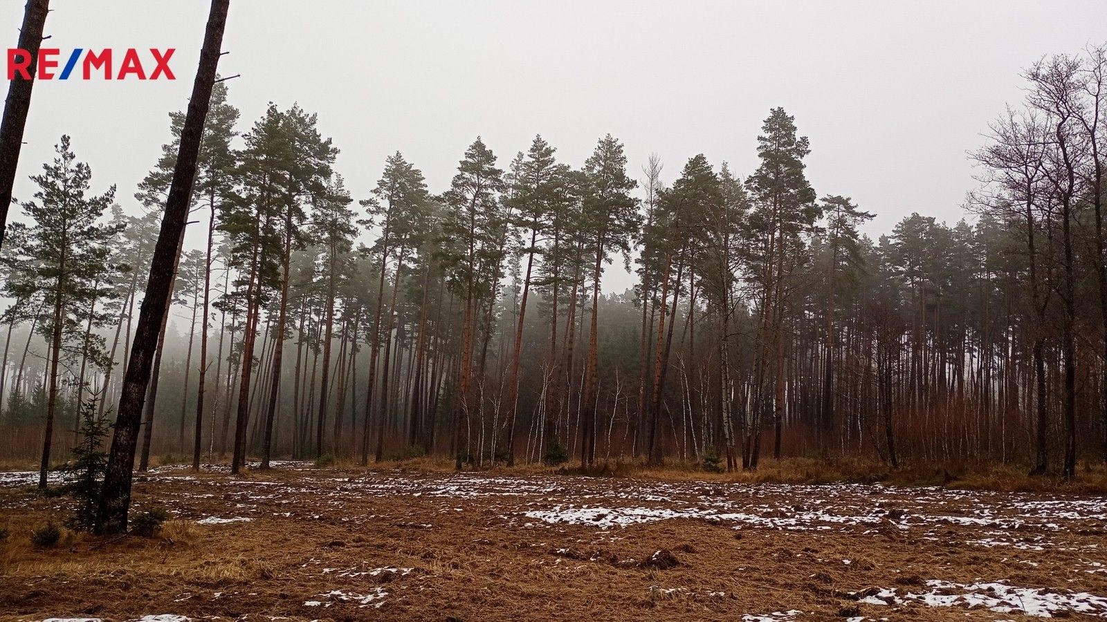 Prodej les - Peč, 9 m²