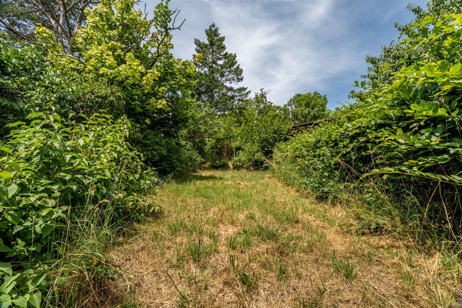 Zahrady, Branka, Brno, 529 m²