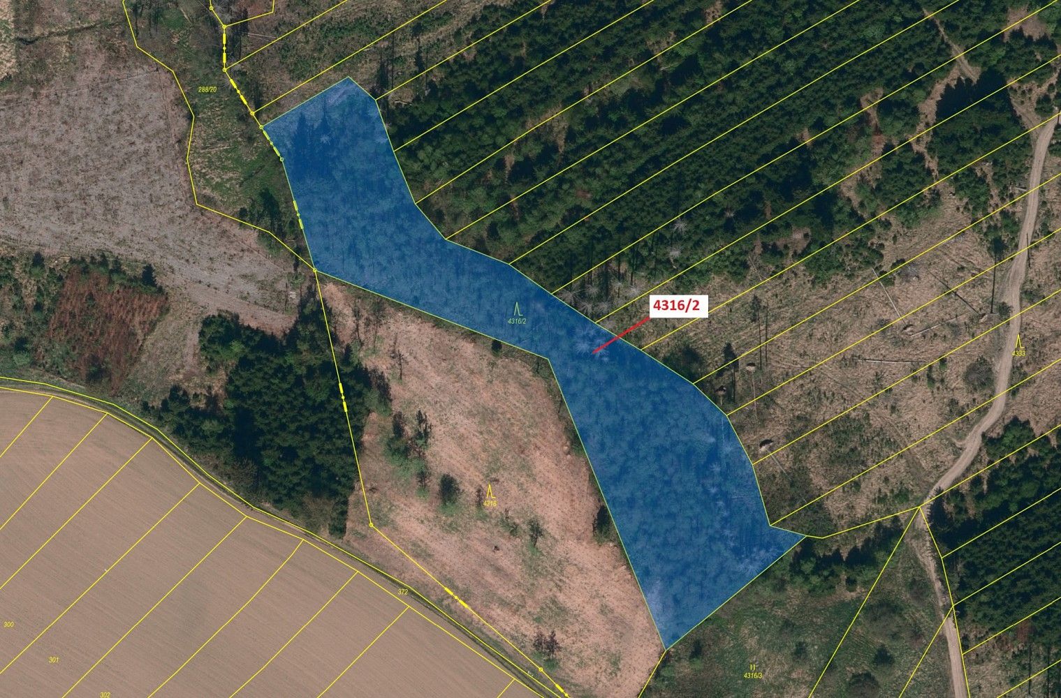 Les · Sedlatice, okres Jihlava, Kraj Vysočina - 2