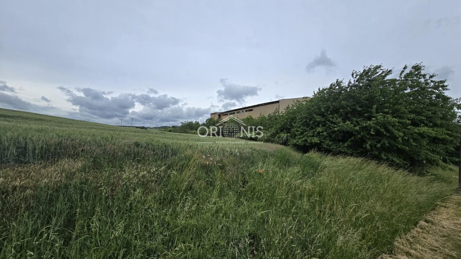 Prodej komerční pozemek - Libyně, Lubenec, 8 620 m² - 5