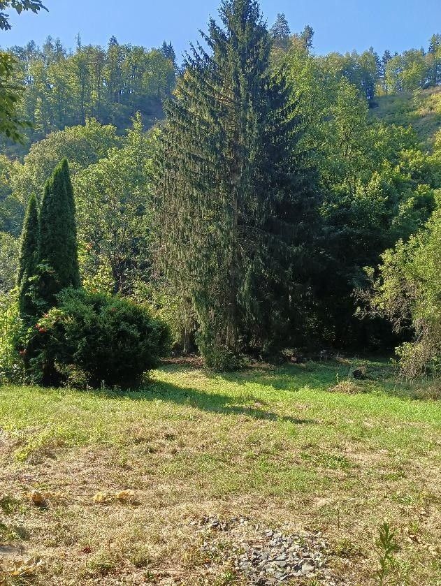 Prodej pozemek pro bydlení - Bílovice nad Svitavou, 664 01 - 5