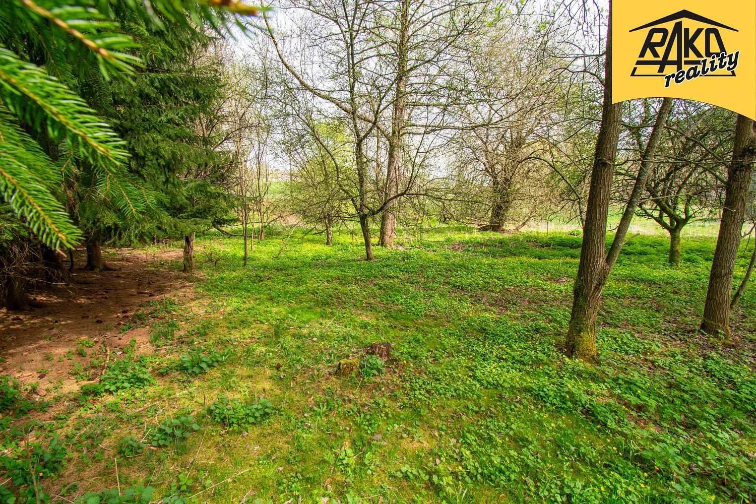 Pozemek pro bydlení · Mladé Buky - Hertvíkovice, okres Trutnov, Královéhradecký kraj - 4