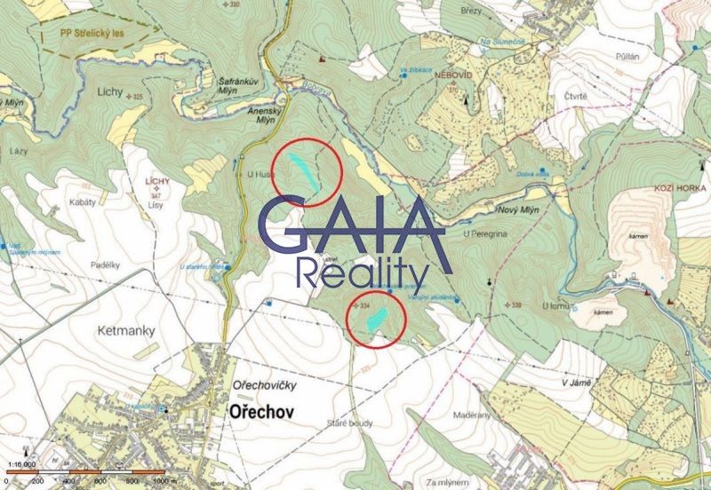 Prodej les - Ořechov, 16 902 m²