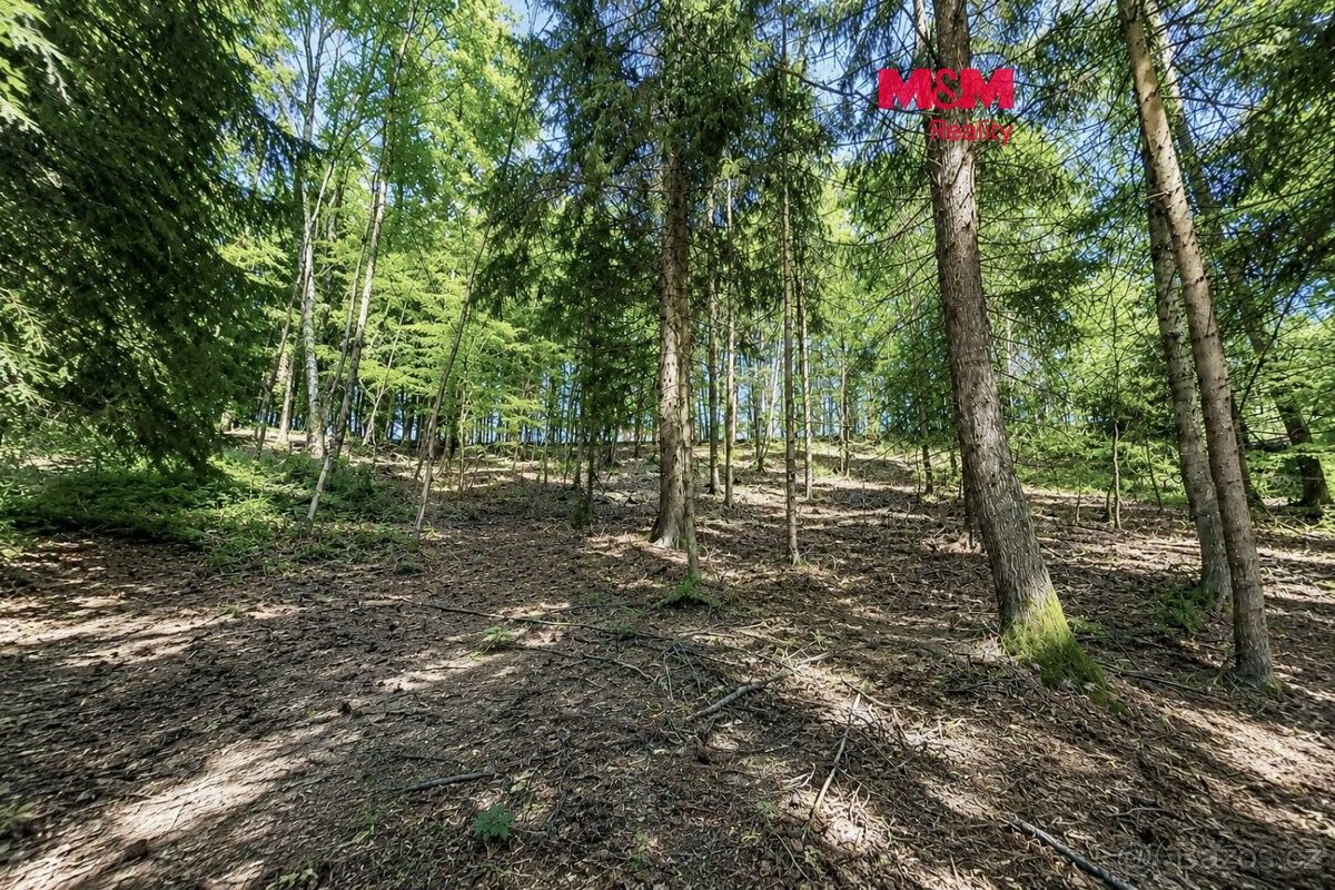 Pozemky pro bydlení, Zábřeh, 789 01