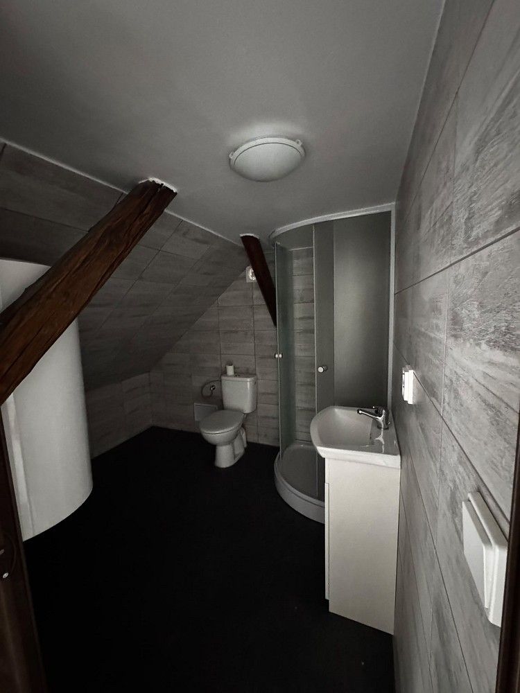 4+kk, Rybářská, Liberec - Liberec I-Staré Město, 100 m² - 1