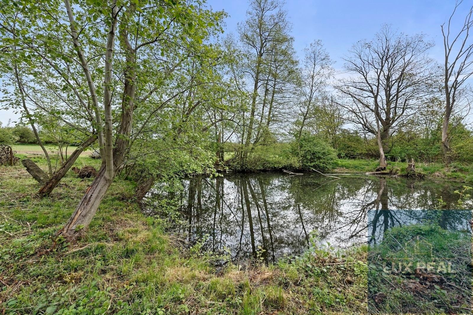 Zemědělská usedlost · 2 953 m² · Petrůvky - 4