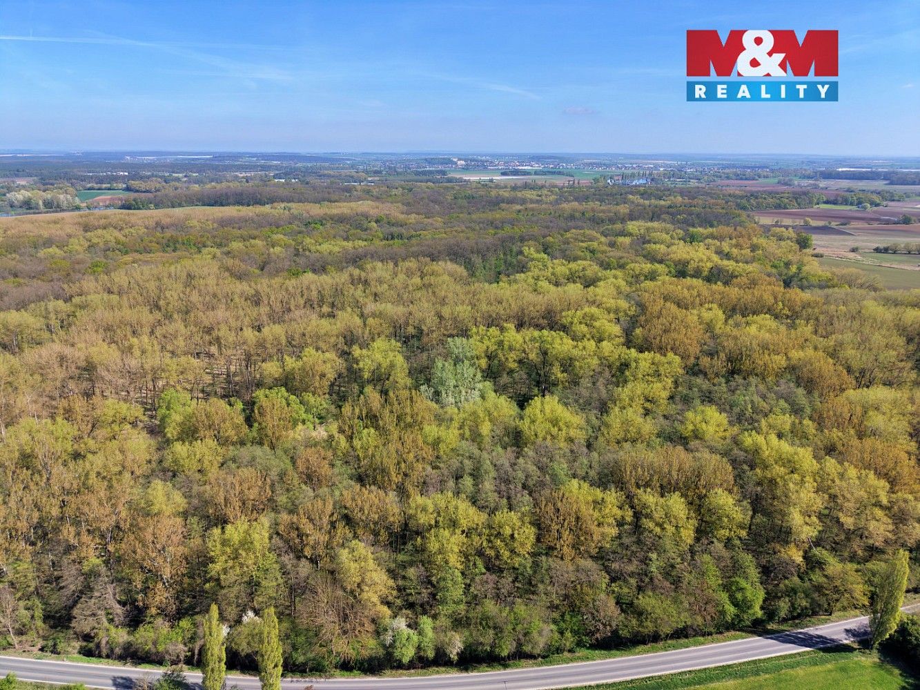 Lesy, Přerov nad Labem, okres Nymburk - 2