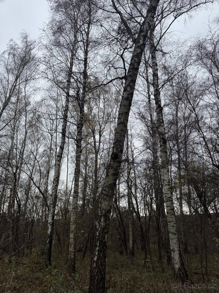 Pozemky pro bydlení, Moravský Písek, 696 85