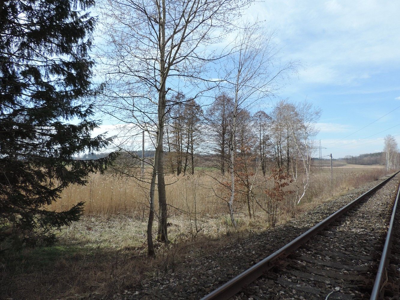 Ostatní, Brniště, okres Česká Lípa - 1