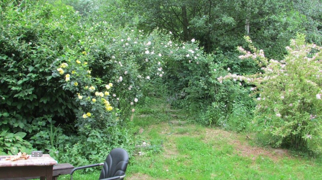 Prodej rodinný dům - Velké Kunětice, 790 52