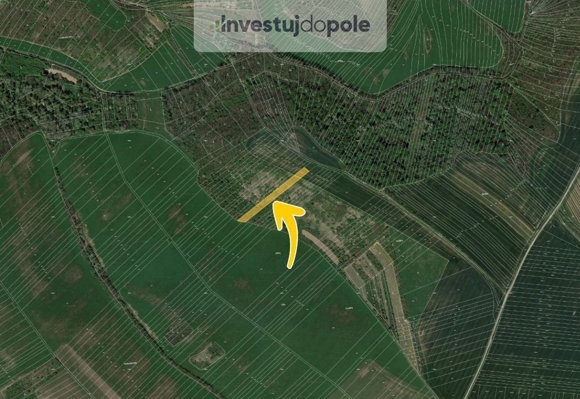 Prodej louka - Velké Němčice, 1 746 m²