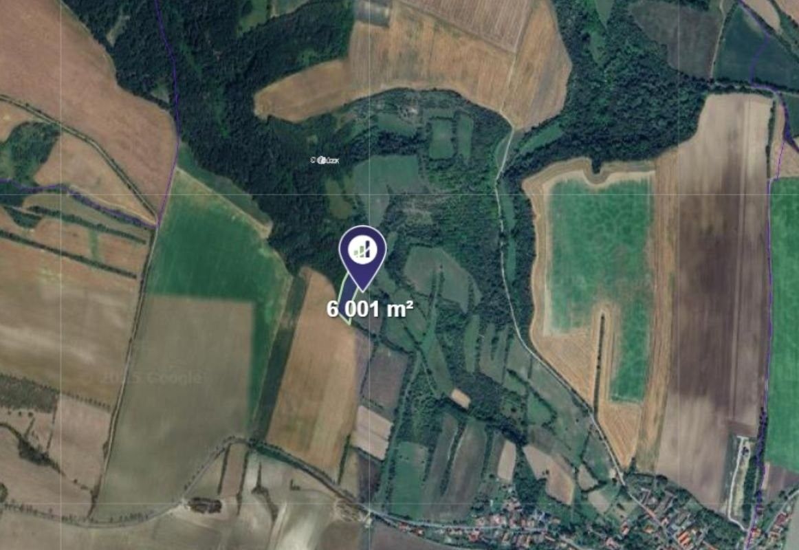 Prodej les - Vysoká, 6 001 m²