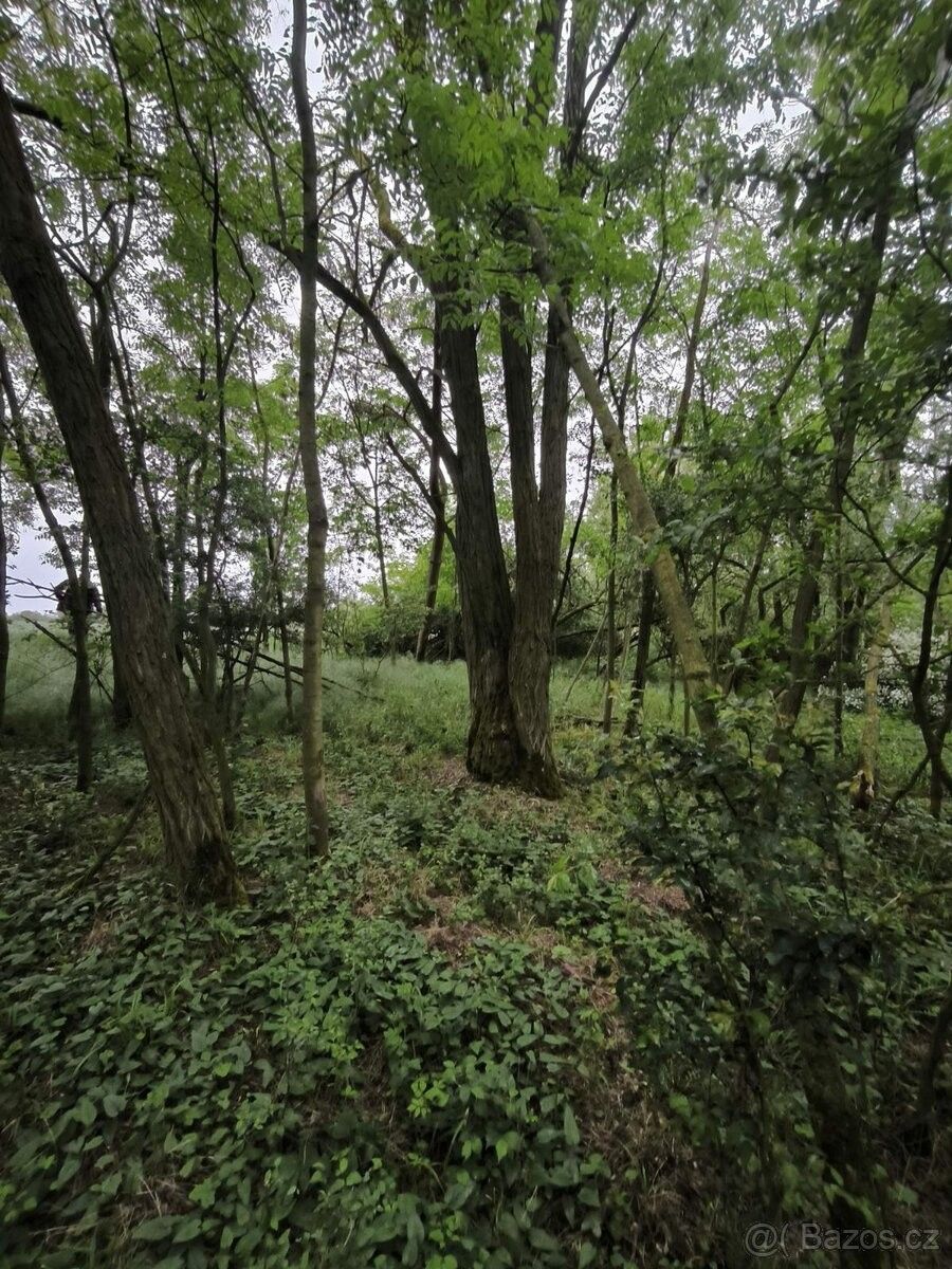 Prodej pozemek pro bydlení - Byšice, 277 32 - 2
