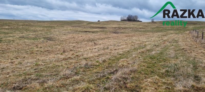 Pozemky pro bydlení, Tachov, 347 01