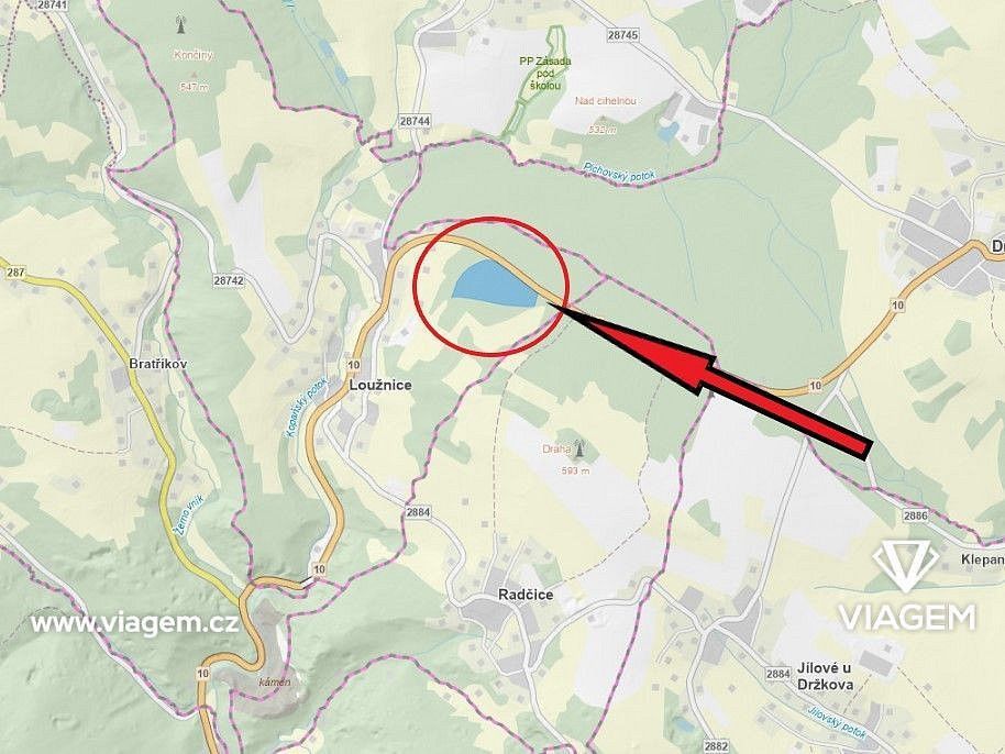 Les · Loužnice, okres Jablonec nad Nisou, Liberecký kraj - 4